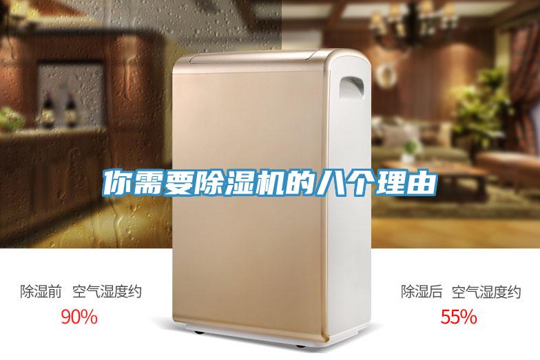你需要除濕機的八個(gè)理由