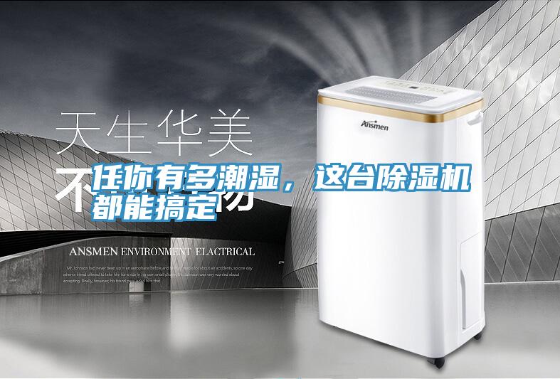 任你有多潮濕，這臺除濕機都能搞定