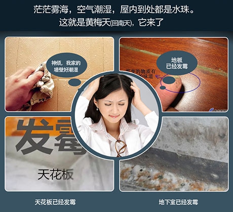 中國外貿不等式痛并快樂(lè )著(zhù) 優(yōu)勢成遭指責的短處(1)