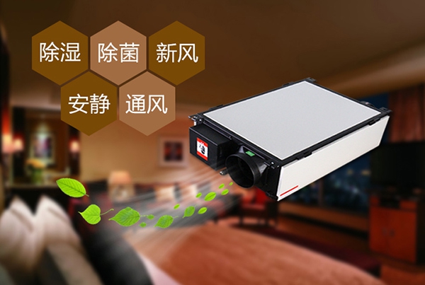 為什么冷庫除濕機會(huì )出現結霜的情況？