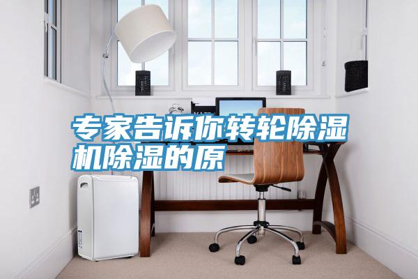 專(zhuān)家告訴你轉輪除濕機除濕的原