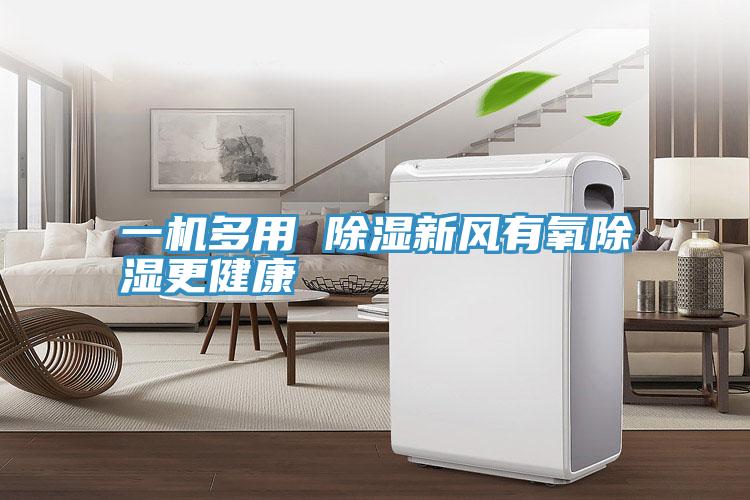 一機多用 除濕新風(fēng)有氧除濕更健康