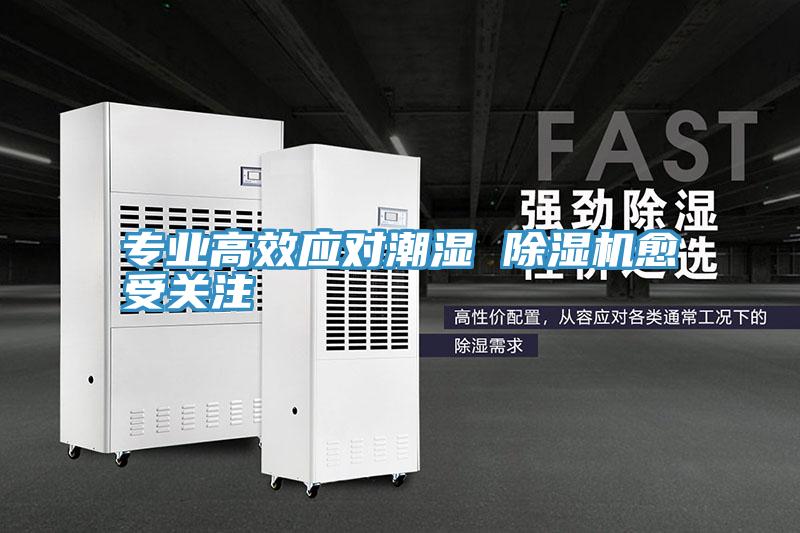 專(zhuān)業(yè)高效應對潮濕 除濕機愈受關(guān)注
