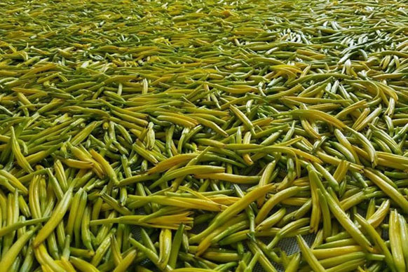 無(wú)硫金針菜烘干如何保持品相？不發(fā)黑？