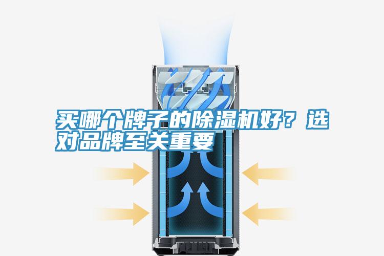 買(mǎi)哪個(gè)牌子的除濕機好？選對品牌至關(guān)重要