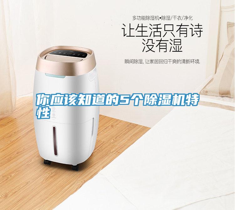 你應該知道的5個(gè)除濕機特性