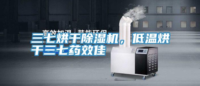 三七烘干除濕機，低溫烘干三七藥效佳