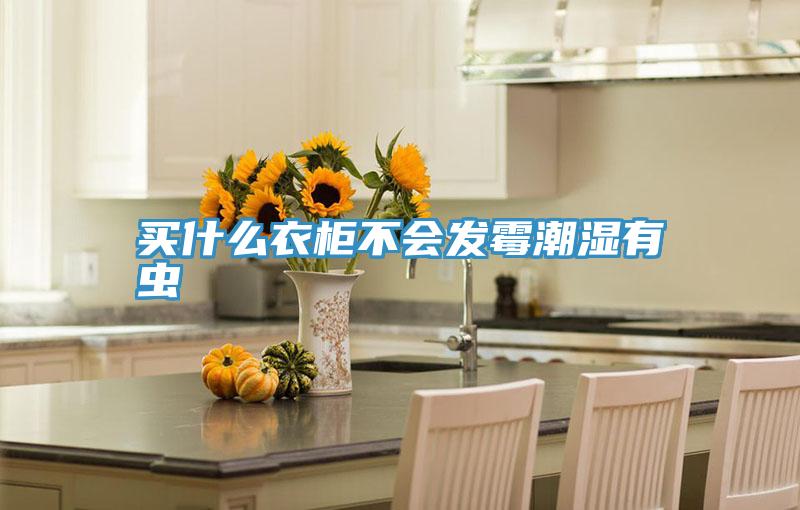 買(mǎi)什么衣柜不會(huì )發(fā)霉潮濕有蟲(chóng)