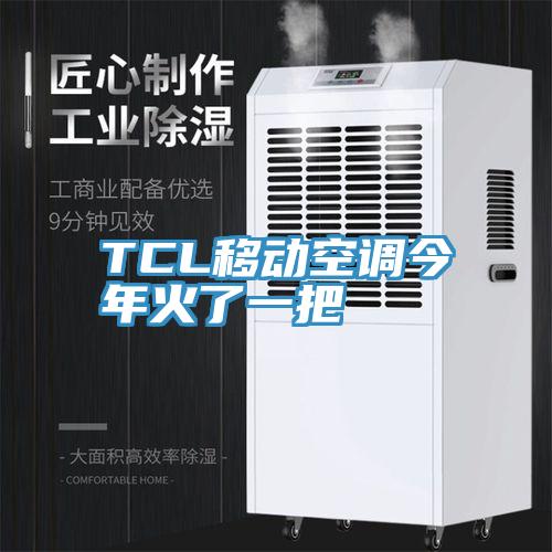 TCL移動(dòng)空調今年火了一把