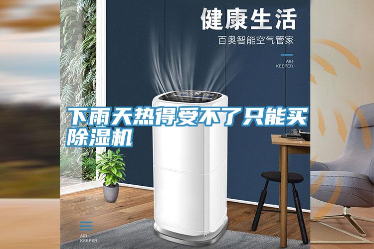 下雨天熱得受不了只能買(mǎi)除濕機