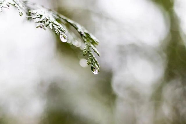 空氣濕度大帶來(lái)的危害有哪些，你知道嗎？