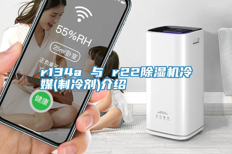 r134a 與 r22除濕機冷媒(制冷劑)介紹