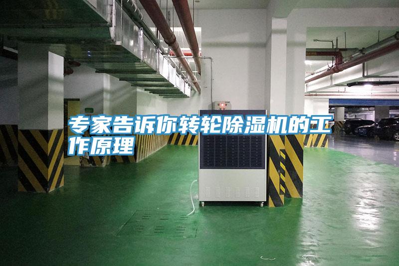 專(zhuān)家告訴你轉輪除濕機的工作原理