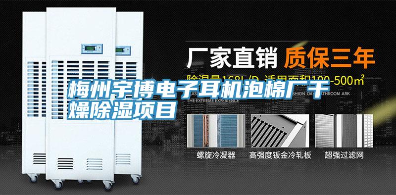 梅州宇博電子耳機泡棉廠(chǎng)干燥除濕項目