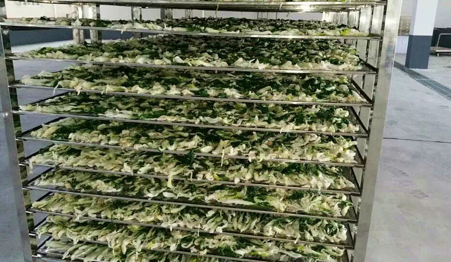 菜干需求一直都很大，蔬菜烘干機很有市場(chǎng)