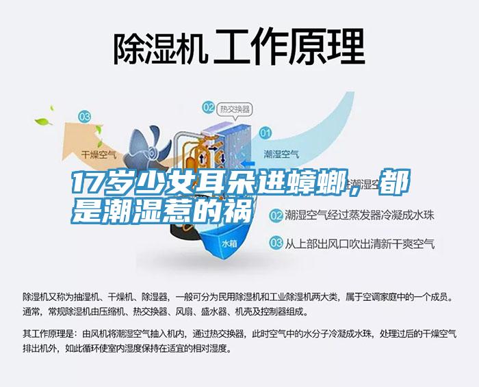 17歲少女耳朵進(jìn)蟑螂，都是潮濕惹的禍