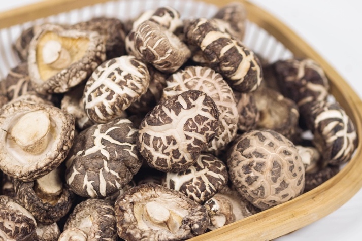 干貨倉庫怎么利用除濕機保持干爽？