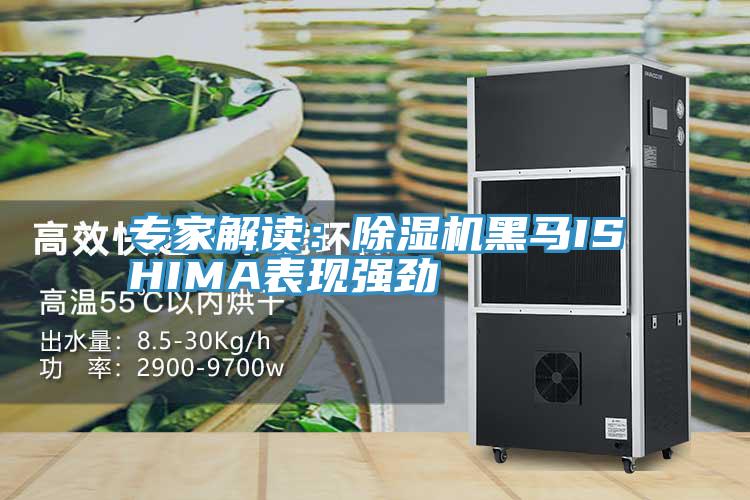 專(zhuān)家解讀：除濕機黑馬ISHIMA表現強勁