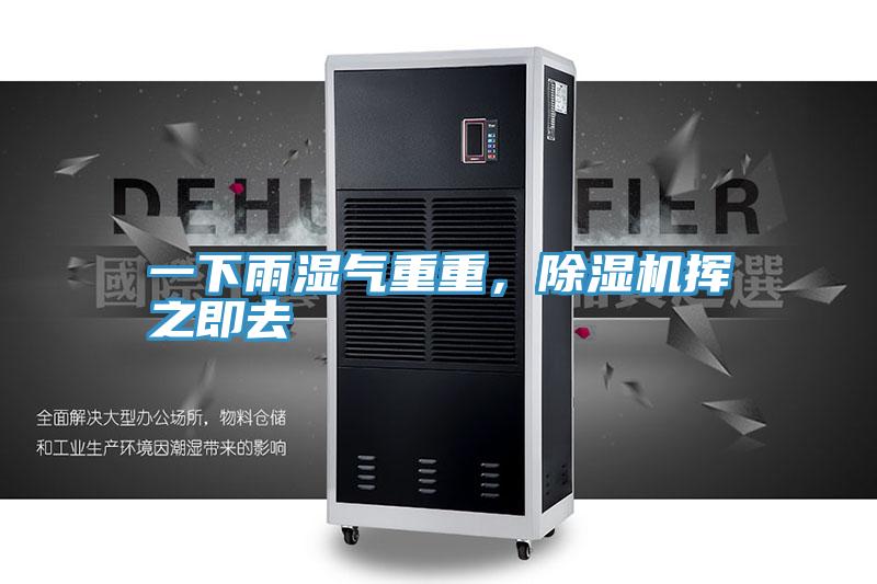 一下雨濕氣重重，除濕機揮之即去