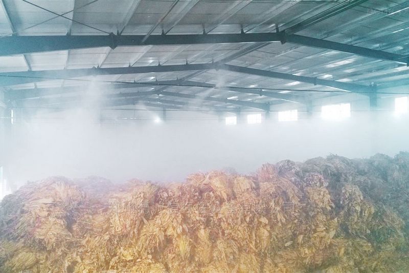 提升煙葉加工質(zhì)量，高效回潮很重要