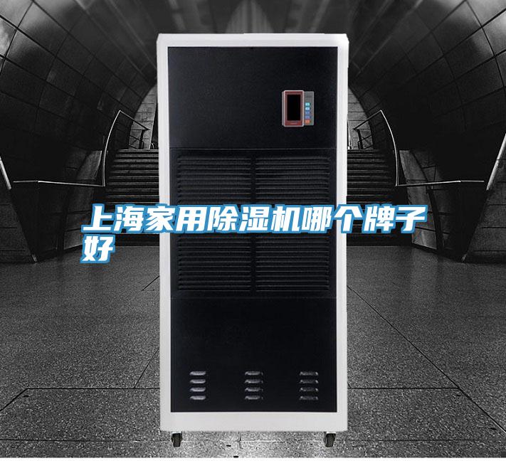 上海家用除濕機哪個(gè)牌子好