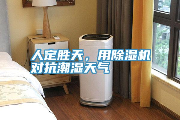 人定勝天，用除濕機對抗潮濕天氣
