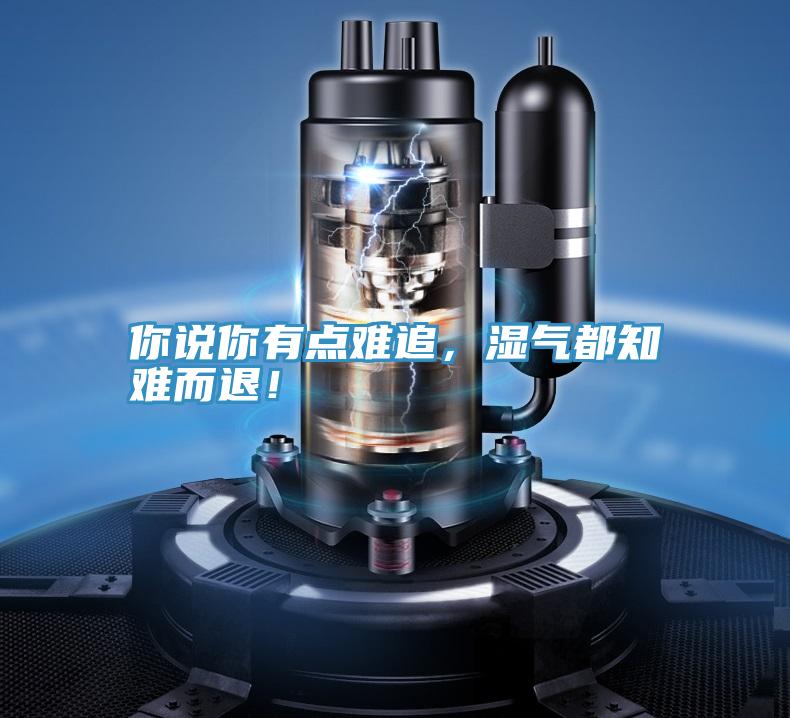 你說(shuō)你有點(diǎn)難追，濕氣都知難而退！