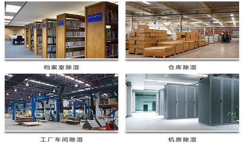 為什么竹筍烘干房需要除濕機？