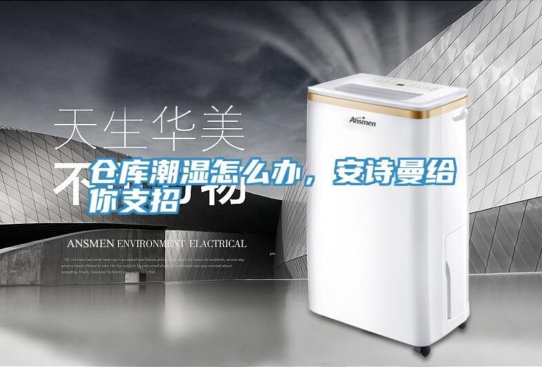 倉庫潮濕怎么辦，安詩(shī)曼給你支招