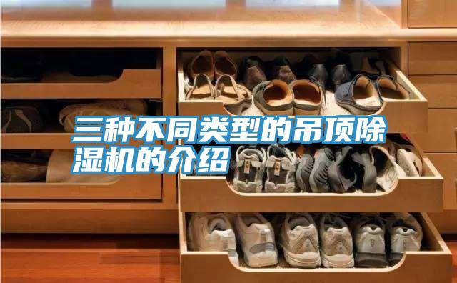 三種不同類(lèi)型的吊頂除濕機的介紹