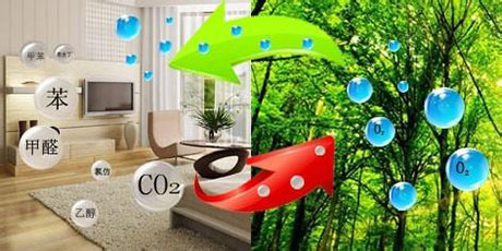 工業(yè)除濕機廠(chǎng)家