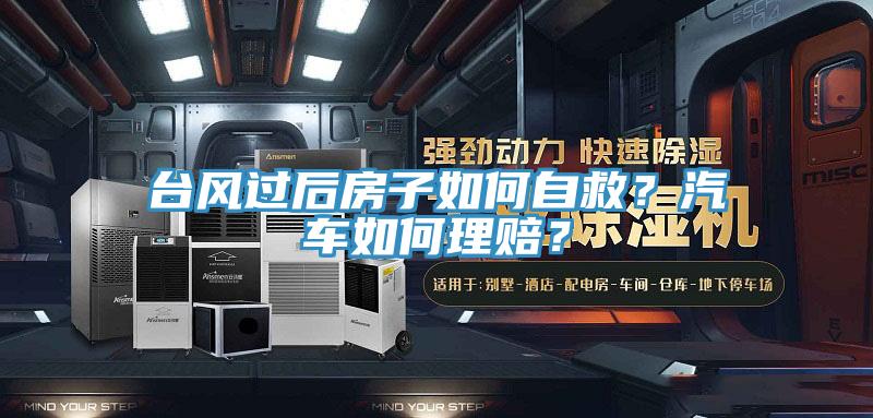 臺風(fēng)過(guò)后房子如何自救？汽車(chē)如何理賠？