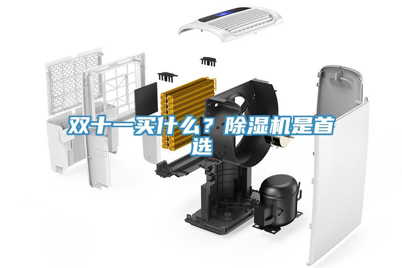 雙十一買(mǎi)什么？除濕機是首選