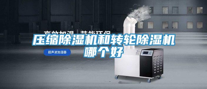 壓縮除濕機和轉輪除濕機哪個(gè)好