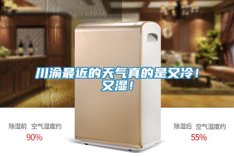 川渝最近的天氣真的是又冷！又濕！