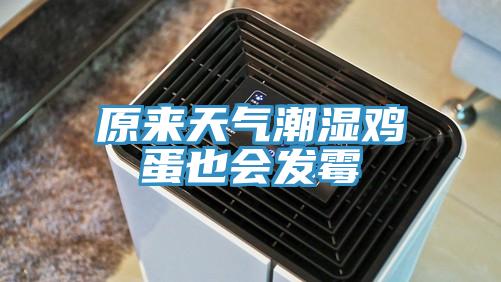 原來(lái)天氣潮濕雞蛋也會(huì )發(fā)霉