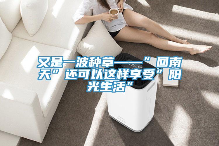 又是一波種草——”回南天”還可以這樣享受”陽(yáng)光生活”