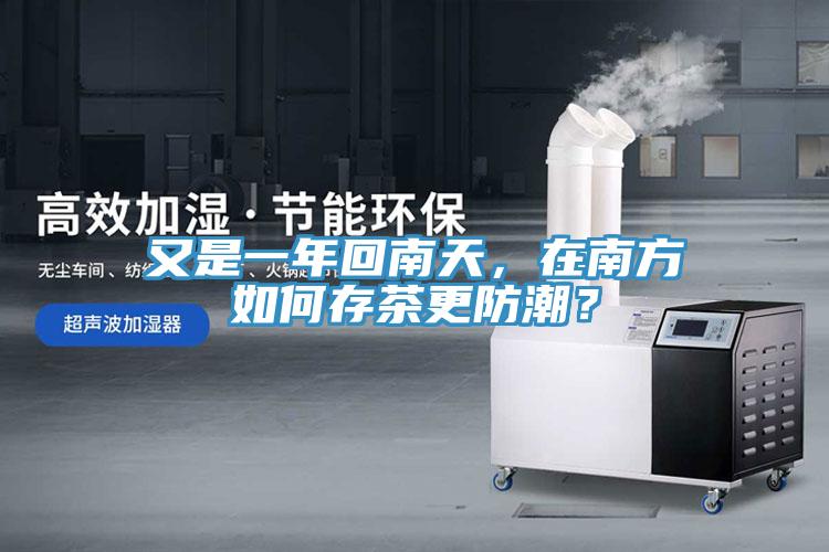 又是一年回南天，在南方如何存茶更防潮？