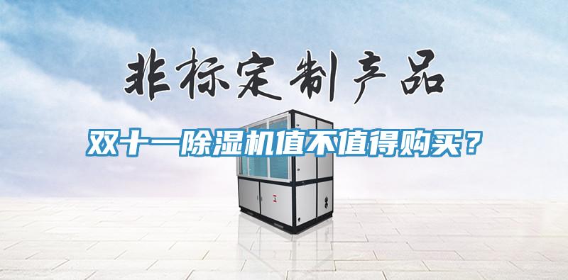 雙十一除濕機值不值得購買(mǎi)？