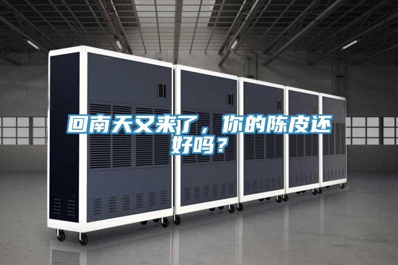 回南天又來(lái)了，你的陳皮還好嗎？