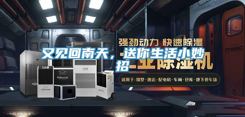 又見(jiàn)回南天，送你生活小妙招