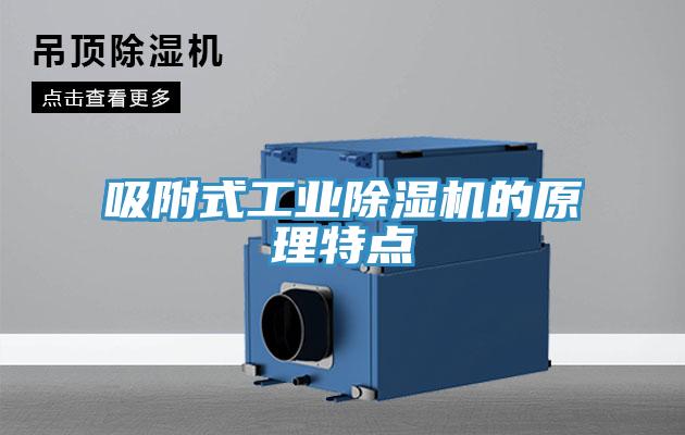 吸附式工業(yè)除濕機的原理特點(diǎn)