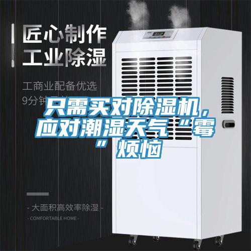 只需買(mǎi)對除濕機，應對潮濕天氣“霉”煩惱