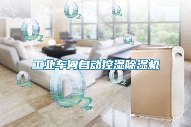 工業(yè)車(chē)間自動(dòng)控濕除濕機