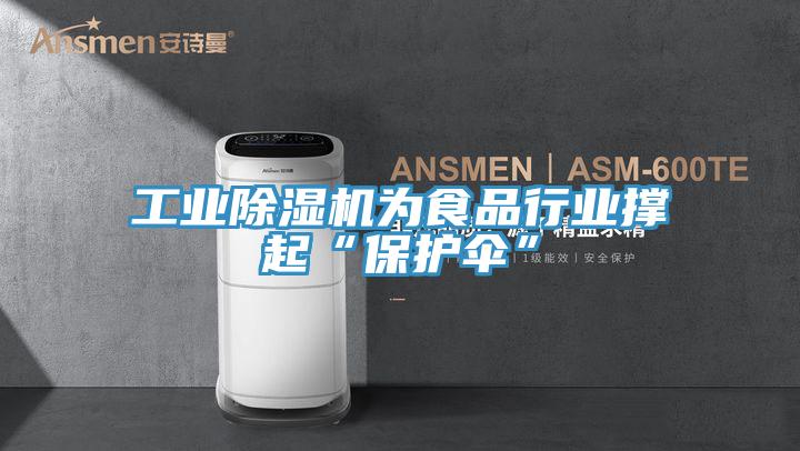 工業(yè)除濕機為食品行業(yè)撐起“保護傘”