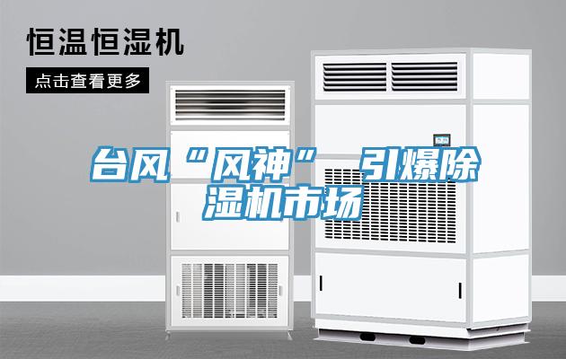臺風(fēng)“風(fēng)神” 引爆除濕機市場(chǎng)