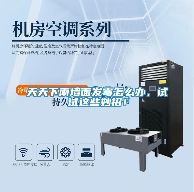 天天下雨墻面發(fā)霉怎么辦，試試這些妙招！