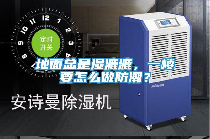 地面總是濕漉漉，一樓要怎么做防潮？