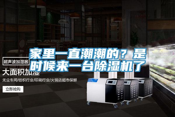 家里一直潮潮的？是時(shí)候來(lái)一臺除濕機了