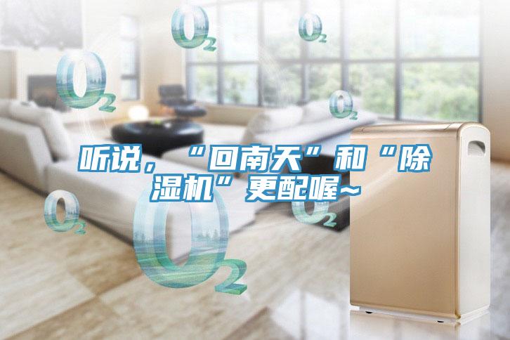 聽(tīng)說(shuō)，“回南天”和“除濕機”更配喔~